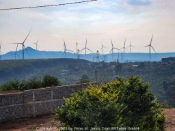2021 Swiss House-by the Lake
